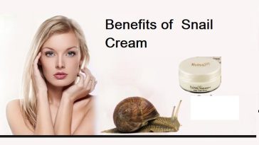 Benefits of Snail Cream