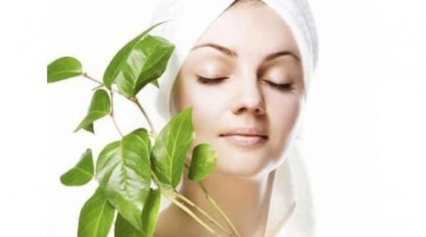 Herbal Formulas to Strain Your Skin