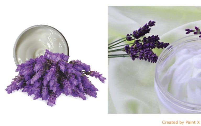 Lavender Cream – Benefits and How to Make and How to Apply