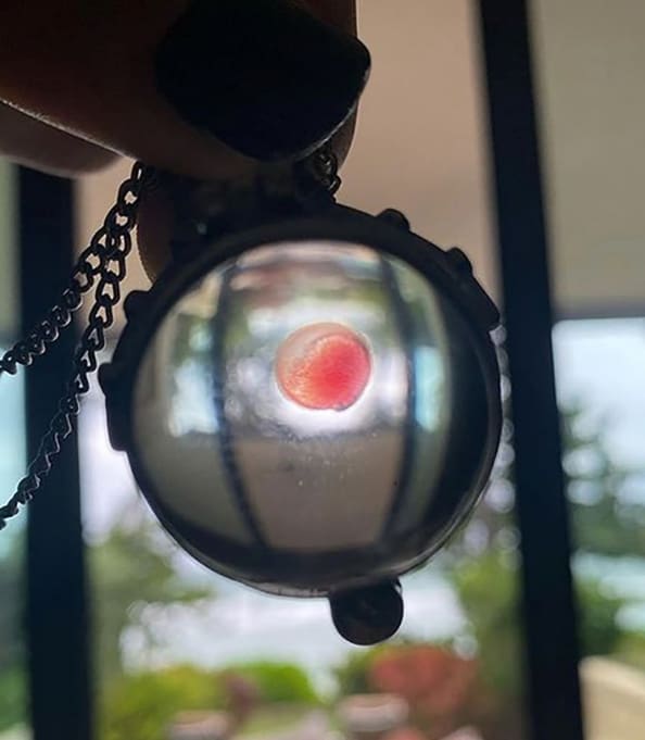 US rapper Machine Gun Kelly surprised his fans with how he shows his love towards his girlfriend Megan Fox. Kelly shares a necklace with Fox’s blood in it.