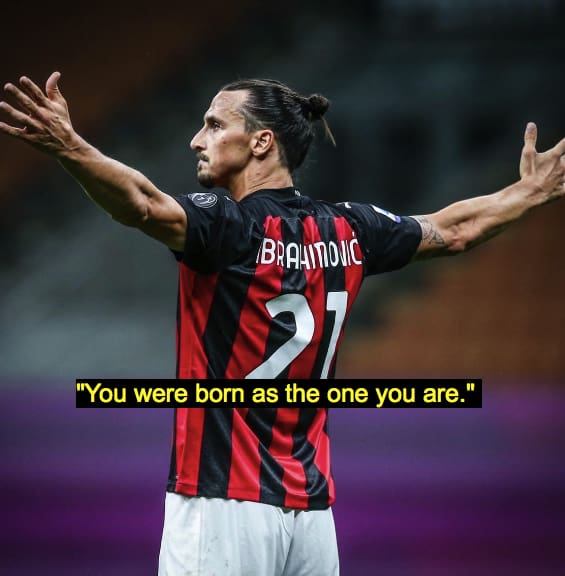 Zlatan Ibrahimovic Quotes