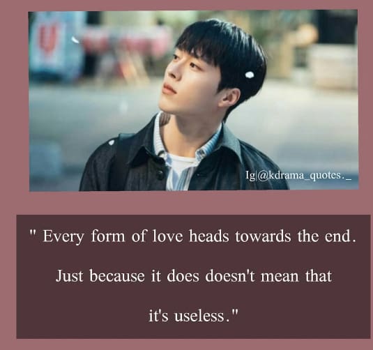 search www quotes