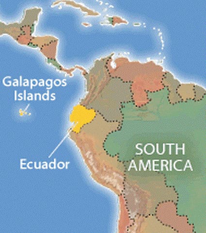 The name means turtle in Spanish.