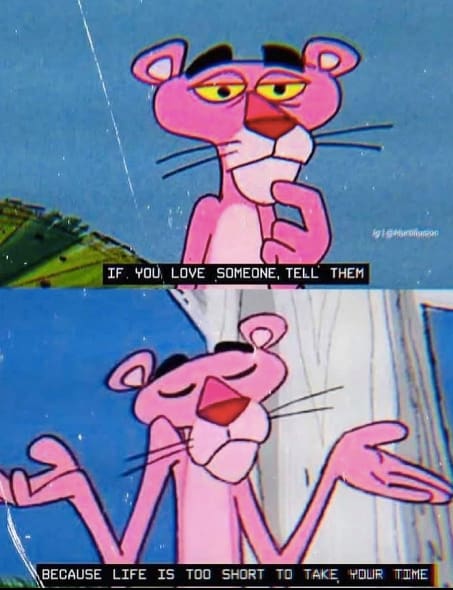 Best 35 Pink Panther Quotes - Cartoon Series