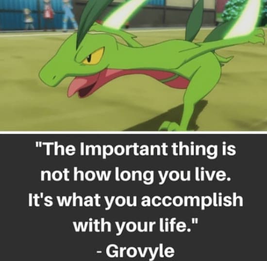 Pokemon Quotes