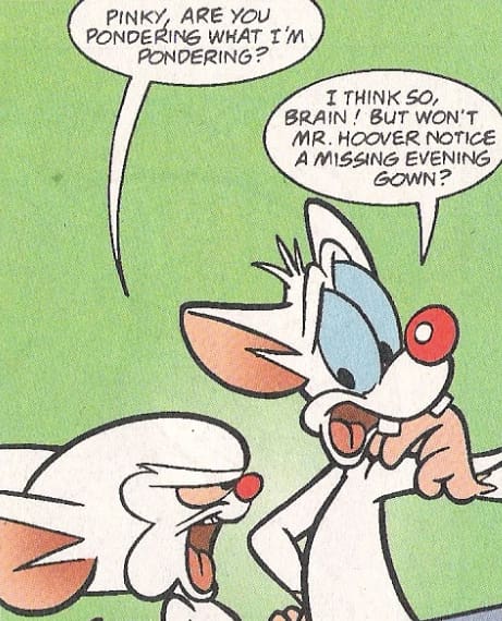 pinky and the brain quotes