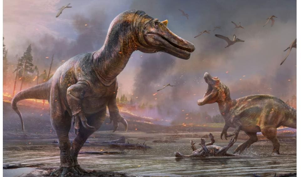 Dinosaurs lived in the Mesozoic era