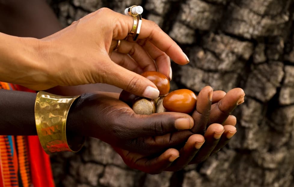 Shea butter – Africa