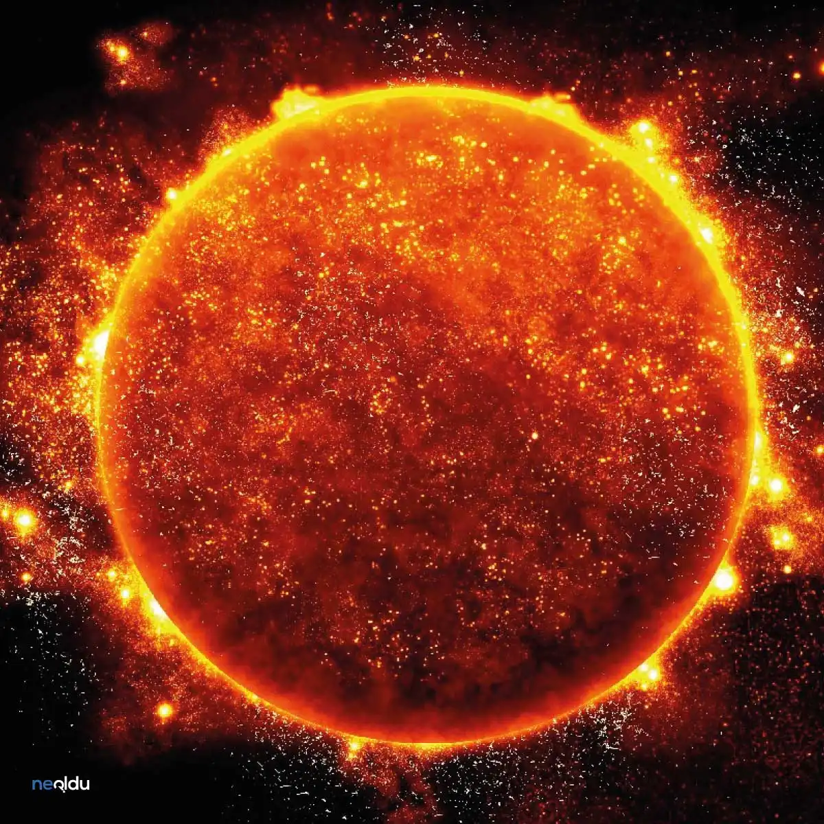 Sun