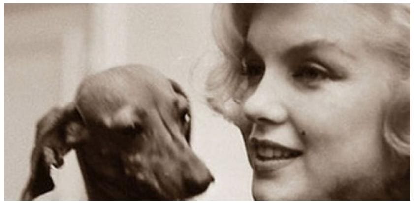 Marilyn Monroe