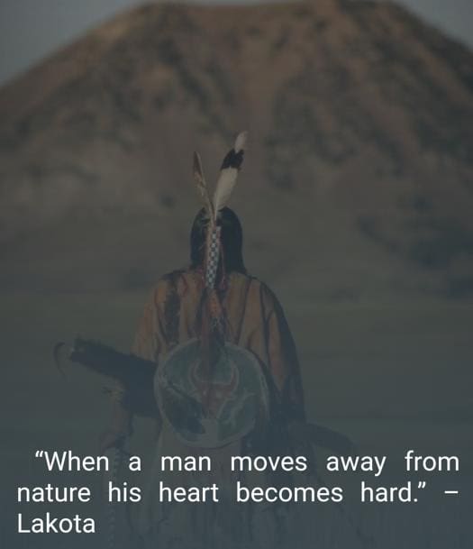 Native American Quotes indian