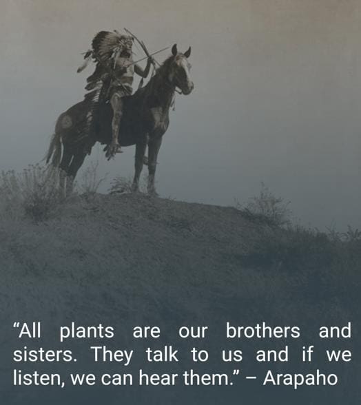 redskin quotes