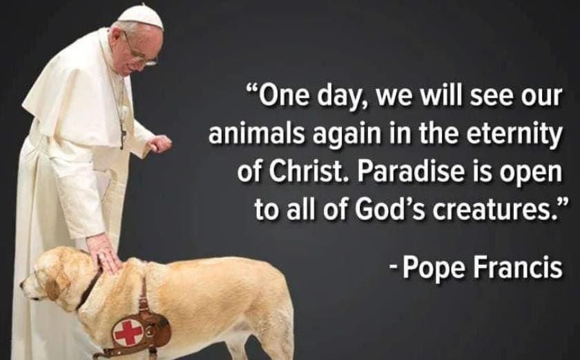 Pope Francis Quotes