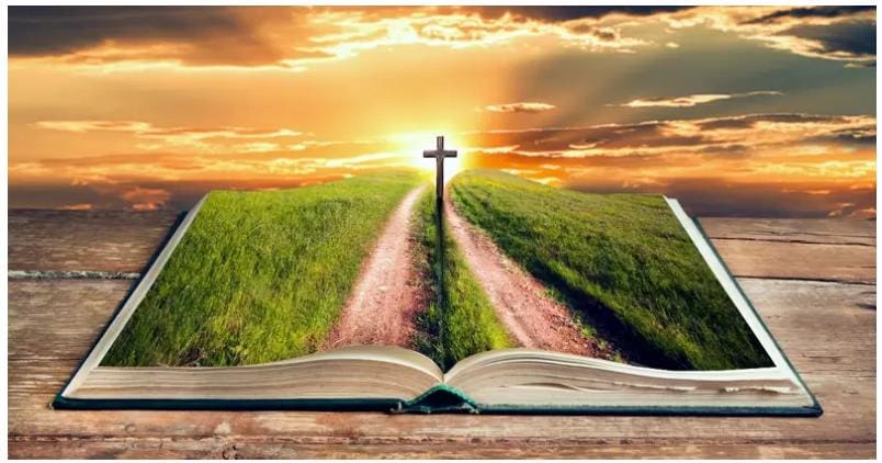 Bible Quotes About Family