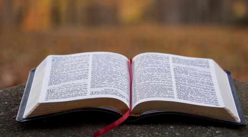 bible
