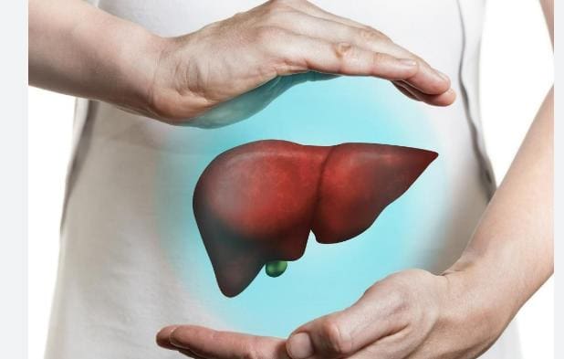 Herbs, Vitamins, Vegetables and Fruits Good for the Liver 1 Herbs, Vitamins, Vegetables and Fruits Good for the Liver