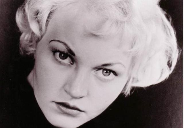 Bob Zimmerman and Echo