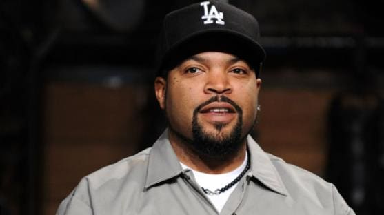 25 Fascinating Ice Cube Facts