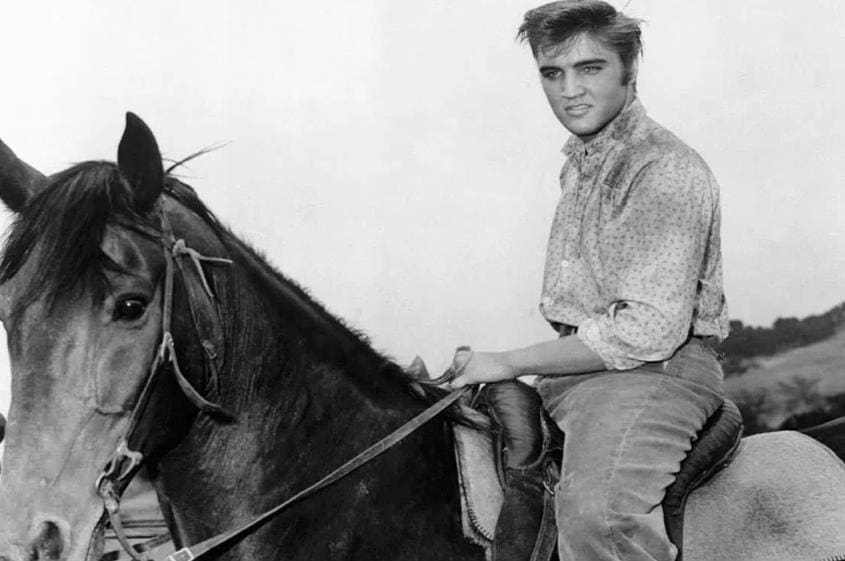 elvis presley horse