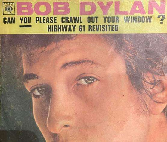 Can You Please Crawl Out Your Window