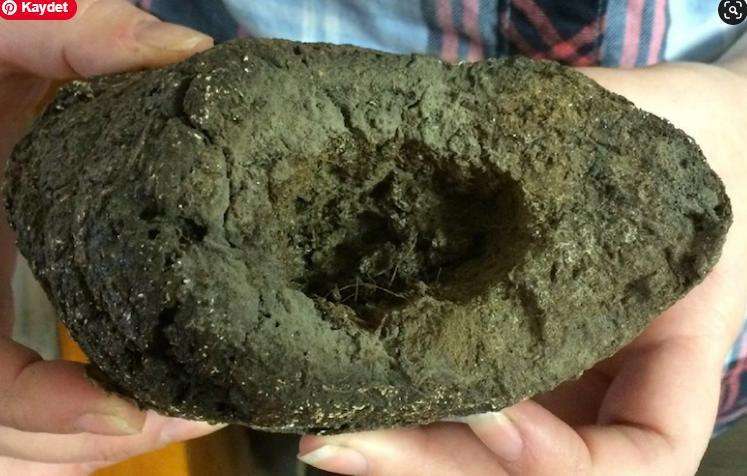 Man Who Died of Constipation Had Been Eating Grasshoppers for Months