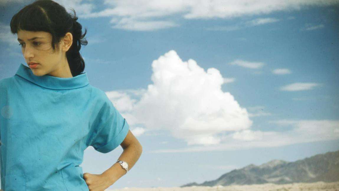 Joan Baez: I Am a Noise