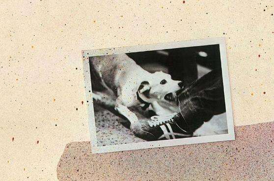 October 12 1979 - Fleetwood Mac  released their twelfth album Tusk