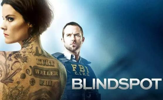 35 Best Blindspot Quotes - Tv Series