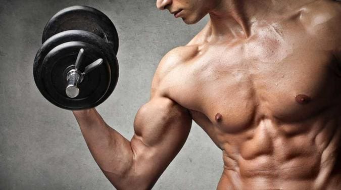 Maximize Your Muscular Strength