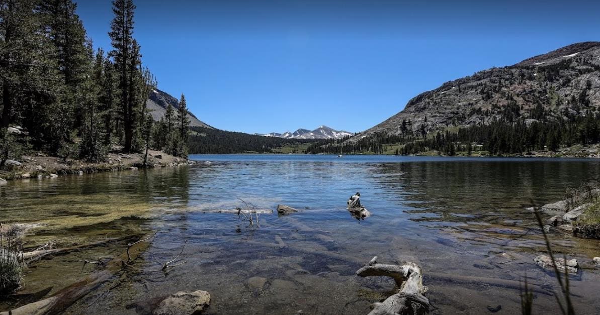 40 Joshua Tree National Park Facts