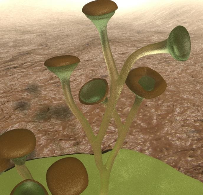 Cooksonia