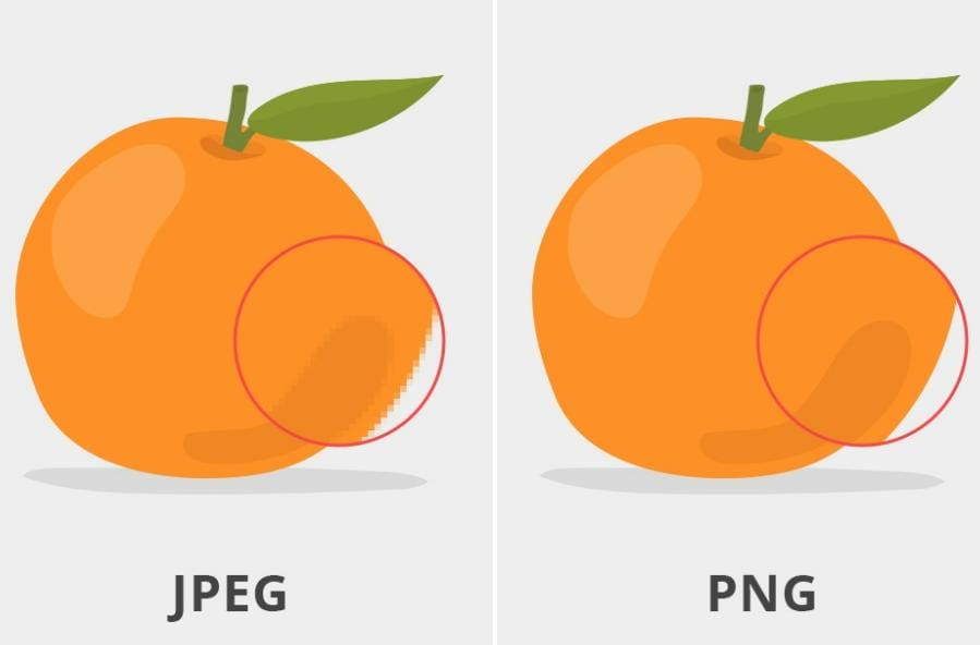 JPEG and PNG