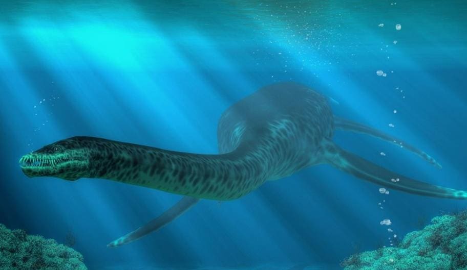 The Tethys Sea The massive body of water that covered Anatolia millions of years ago