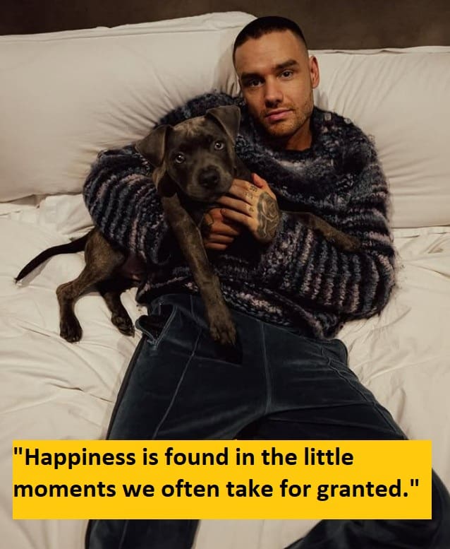 Liam Payne Quotes