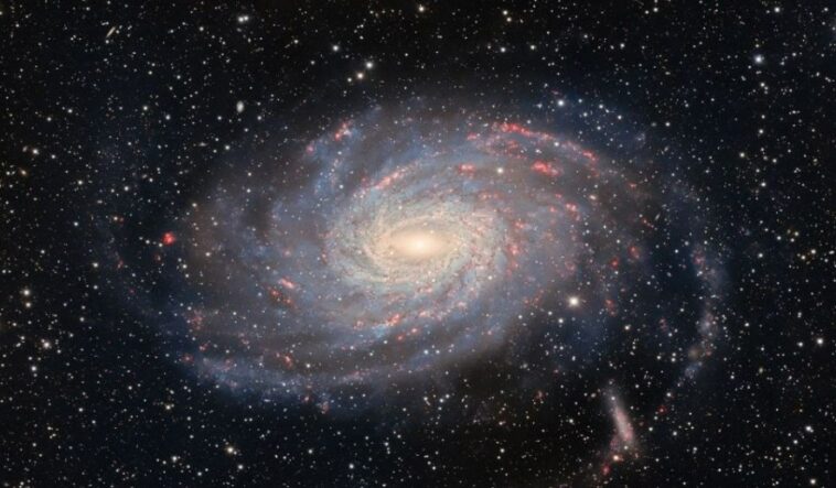 Screenshot 2025 06 30 112241