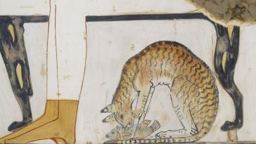 The Egyptians had a great respect for cats