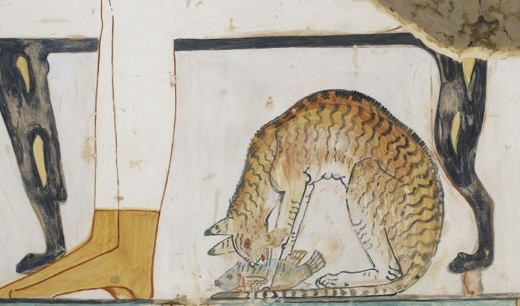 The Egyptians had a great respect for cats