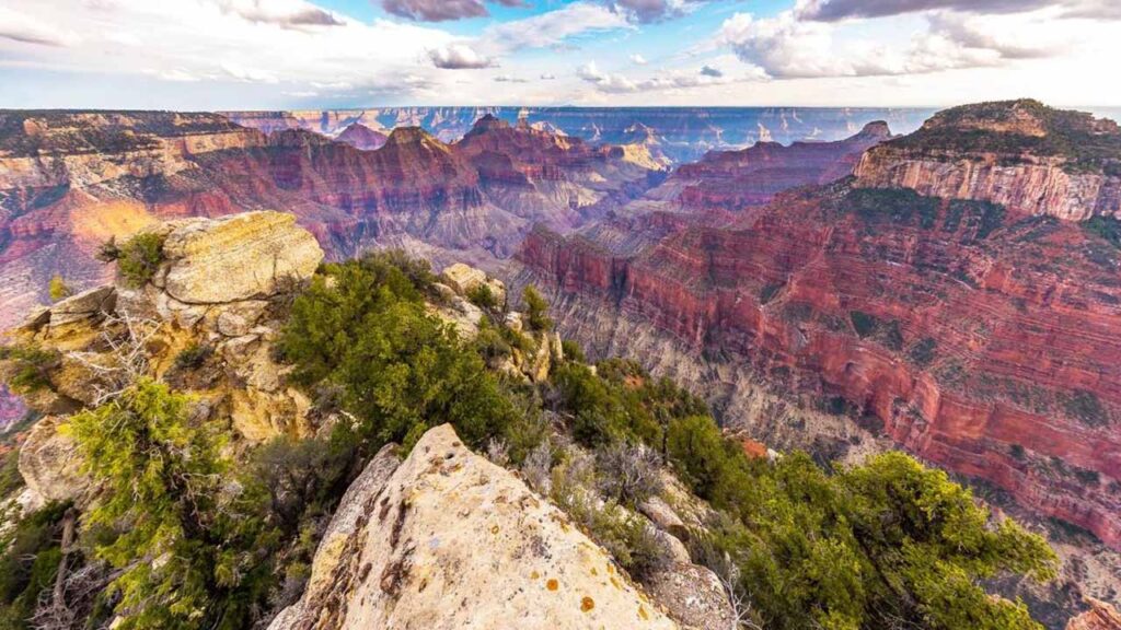 Grand Canyon Reveal Evolution