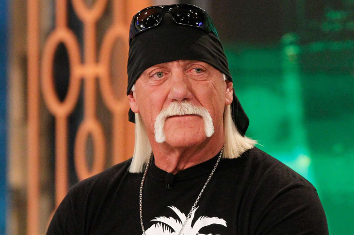 100 Powerful Hulk Hogan Facts Every Wrestling Fan Should Know 1 hulk
