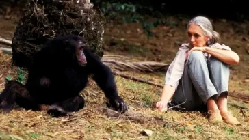 Jane Goodall Quotes