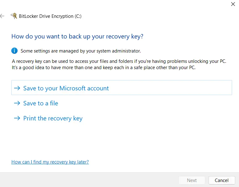  Choose How to Back Up the Recovery Key