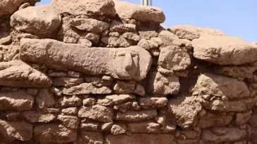 Karahantepe Discovery