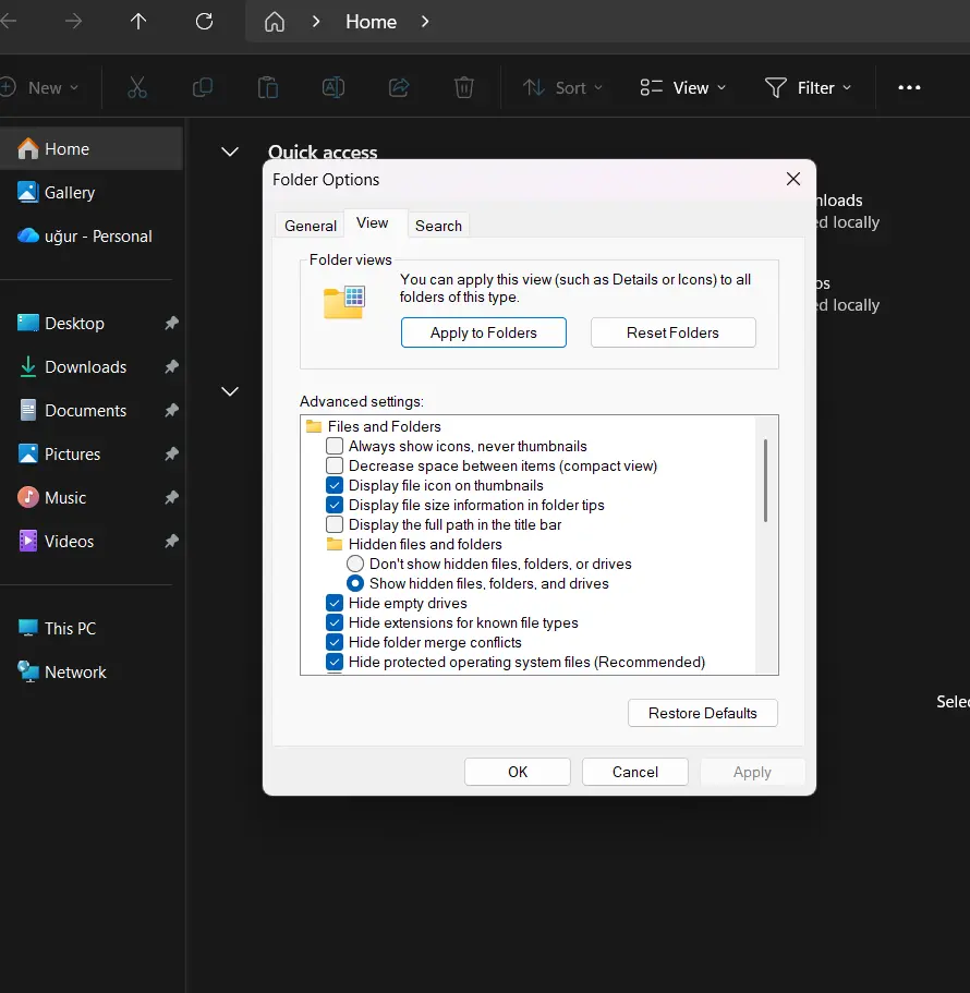Hidden Files Setting