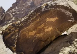 Ancient Life Discovered Inside Rocks After Millions of Years