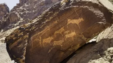 Ancient Life Discovered Inside Rocks After Millions of Years