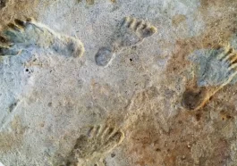 Ancient Human Footprints Found Beneath White Sands