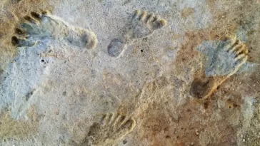 Ancient Human Footprints Found Beneath White Sands