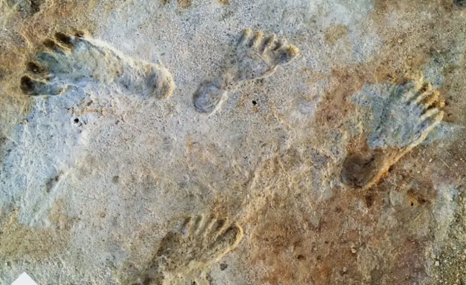 Ancient Human Footprints Found Beneath White Sands