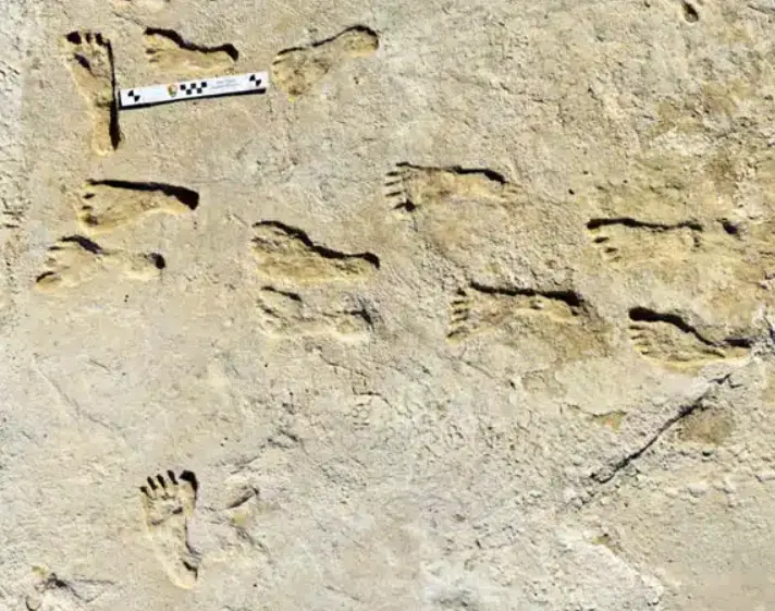 Ancient Human Footprints Found Beneath White Sands