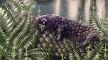 Early Plant-Eating Land Vertebrate